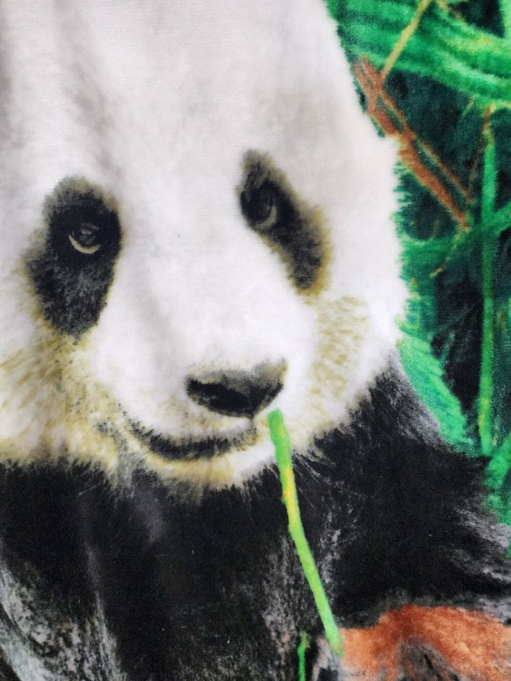 Unbranded Green White Black Brown SuperSoft Poly Fleece 45"x60" Panda Blanket - Picture 7 of 16